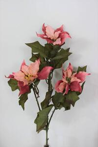 Rózsaszín mikulásvirág csokor 68cm