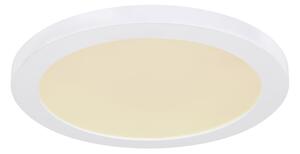Globo LASSE 12379-24W mennyezetlámpa, 24W LED, 3000-4000-6500K, 1900 lm, színhőmérséklet-váltás fali kapcsolóval