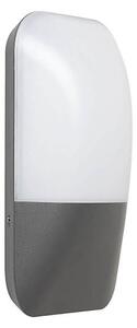Rábalux Ecuador 7996 kültéri falilámpa, 10W LED, 4000K, 800 lm, IP65
