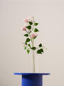 Sinsay - Okrasná rastlina – plamienok - pasztellpink