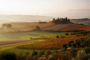 Fotográfia View across Tuscan landscape., Gary Yeowell
