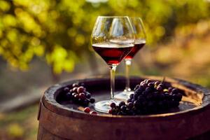 Fotográfia Two glasses of red wine in the vineyard, Rostislav_Sedlacek