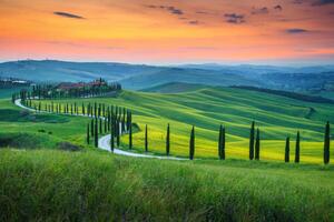 Fotográfia Famous Tuscany landscape with curved road, Janoka82