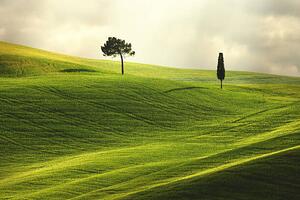 Fotográfia Landscape in Tuscany, Peter Zelei Images