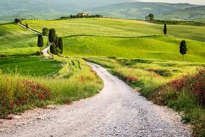 Fotográfia Dirt road and green field in Tuscany, Shaiith