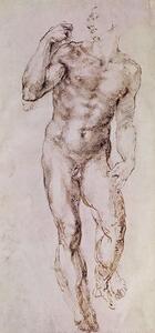 Michelangelo Buonarroti - Reprodukció Sketch of David with his Sling, 1503-4, (23.3 x 50 cm)