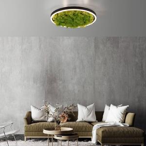 JUST LIGHT. GmbH LED mennyezeti lámpa Zöld Ritus, moha, dimmelhető Ø39.3cm,, Zöld, Nappali / Étkező, Modern