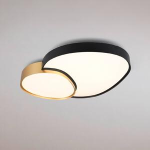 Trio Lighting LED mennyezeti lámpa Rise, fekete-arany, 77 x 63 cm, CCT,, dimmelhető, Fekete, Nappali / Étkező, fém, Modern
