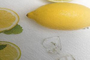 Kép citrusfélék
