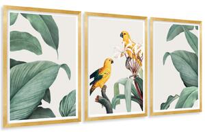 Gario Poszter készlet Papagájok és levelek - 3 részes A keret színe: Arany, Méret: 135 x 63 cm