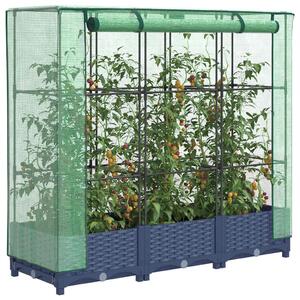 Rattan hatású magaságyás üvegháztakaróval 120 x 40 x 123 cm