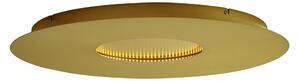Modern mennyezeti lámpa arany 60 cm LED-del, 3 fokozatban dimmelhető - Morning