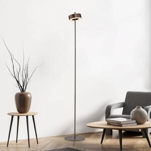 Q-Smart-Home Paul Neuhaus Smart LED-es állólámpa Q-Rotate sötétbarna 140 cm, dimmelhető, Barna / rozsda, Nappali / Étkező, Alumínium, Modern