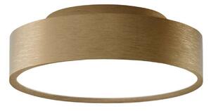 Mennyezeti Lámpa LIGHT-POINT, dimmable, Arany / Sárgaréz, Nappali, Alumínium