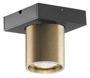Mennyezeti Lámpa LIGHT-POINT, dimmable, Arany / Sárgaréz, Nappali, Alumínium