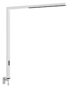 Spotlámpa Arcchio, Jolinda, dimmable, Fehér, Dolgozószoba / iroda, Fém, Modern