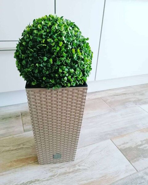 Buxus Műnövény kaspóban 60cm #zöld