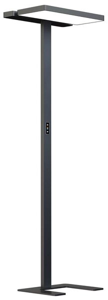 Állólámpa Arcchio, Aila, dimmable, Fekete, Dolgozószoba / iroda, Alumínium, Modern