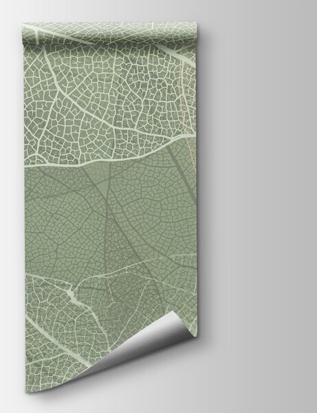 Fotótapéta A természet finom mintái’s design, Természet fotótapéta, Népszerű fotótapéta, w02520 - Tapeko.hu
