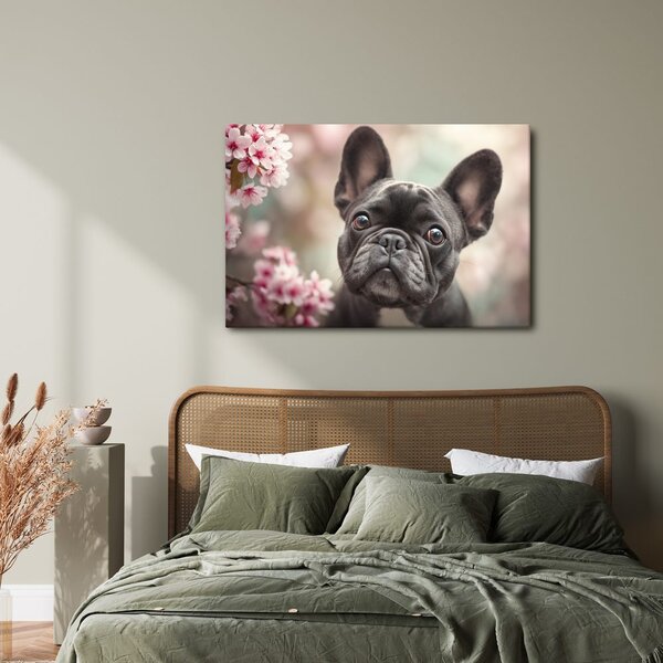 Kép cuki bulldog virágok között