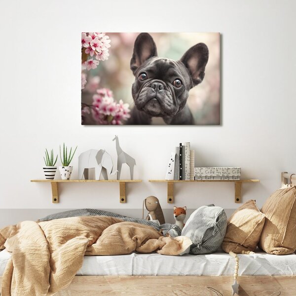 Kép cuki bulldog virágok között