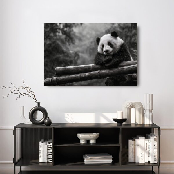 Kép panda pihen bambuszon