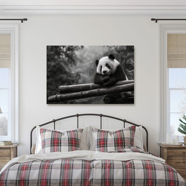 Kép panda pihen bambuszon