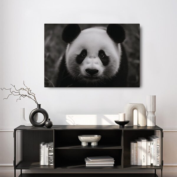 Kép aranyos panda a természetben