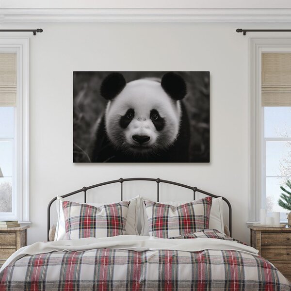 Kép aranyos panda a természetben