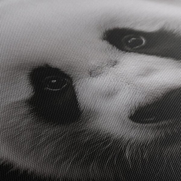 Kép mosolygós fekete-fehér panda