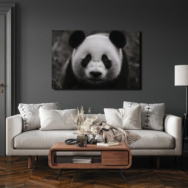 Kép aranyos panda a természetben