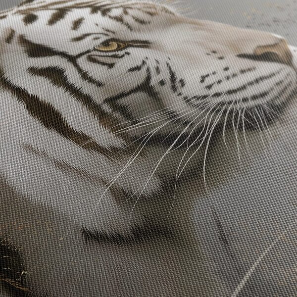 Kép fenséges tigris a természetben