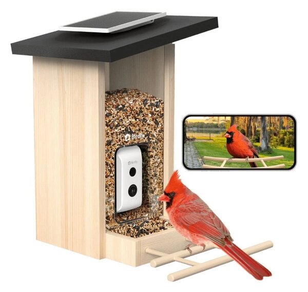 Birdfy Madáretető kamerával, ébenfa, AI nélkül (EPPAMBNI8702110)
