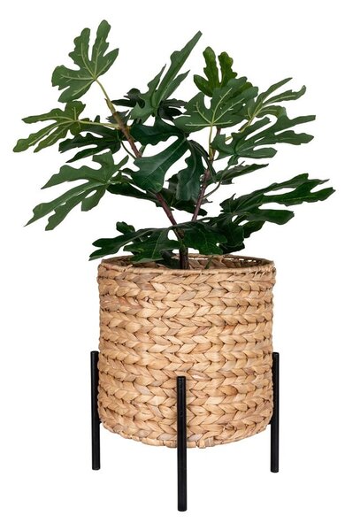 Vízijácint virágcserép ø 24 cm Antas – House Nordic
