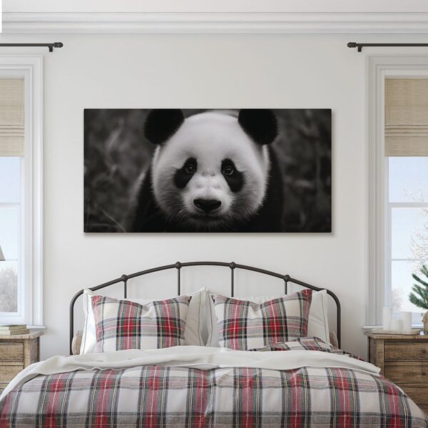 Kép mosolygós fekete-fehér panda