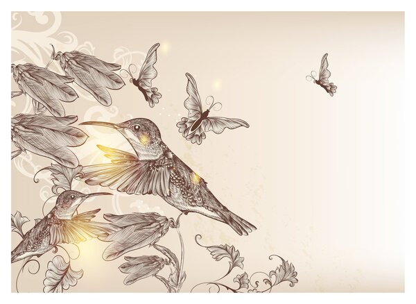 Kép - Kolibri (üvegen) (70x50 cm)