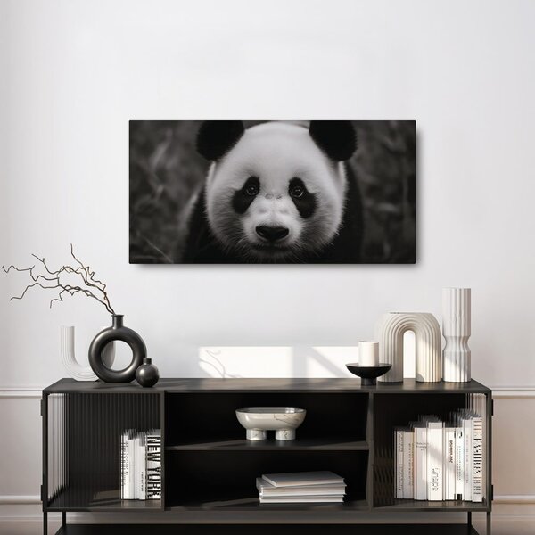 Kép mosolygós fekete-fehér panda
