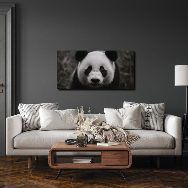 Kép mosolygós fekete-fehér panda