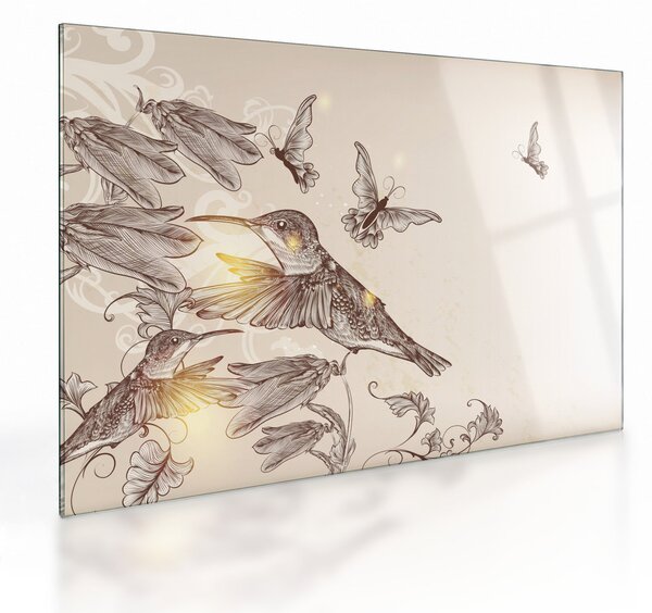 Kép - Kolibri (üvegen) (70x50 cm)