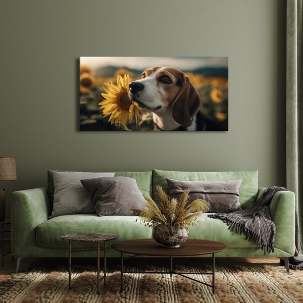 Kép beagle napraforgóval