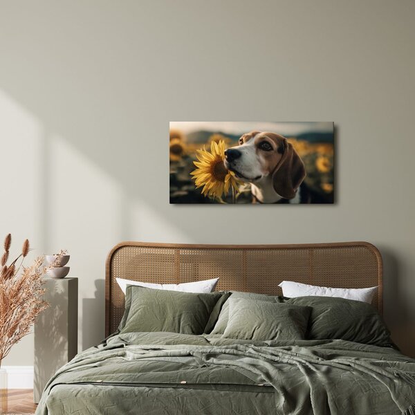 Kép beagle napraforgóval