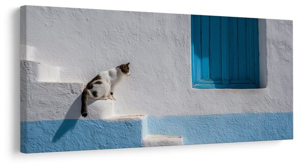 Kép nyugodt macska az ablaknál