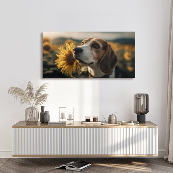 Kép beagle napraforgóval