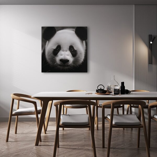 Kép panda fekete háttérrel