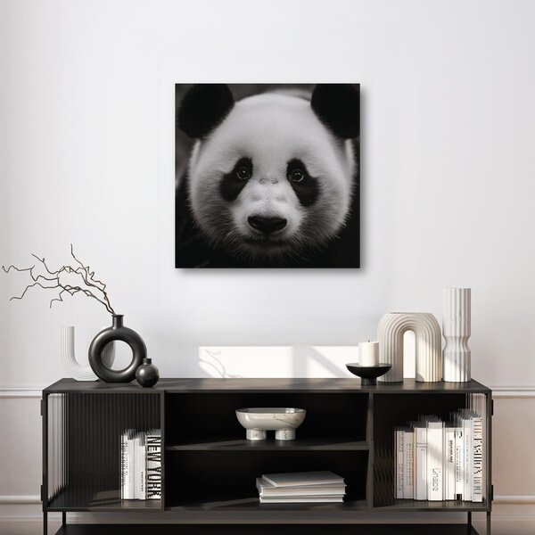 Kép panda fekete háttérrel