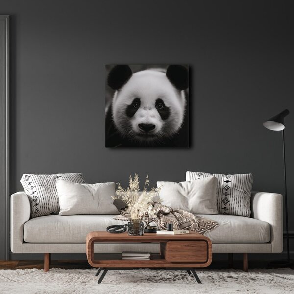 Kép panda fekete háttérrel