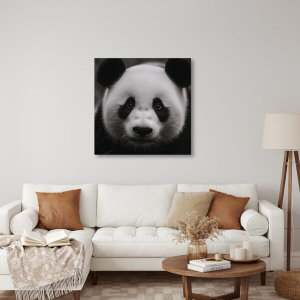 Kép panda fekete háttérrel