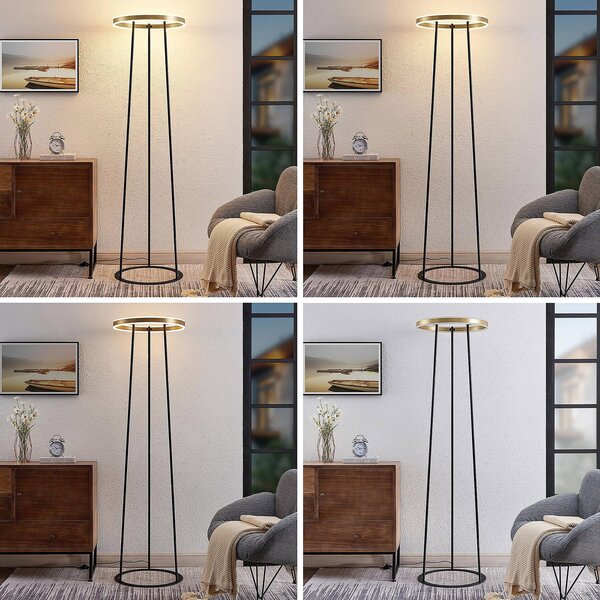 Állólámpa Lucande, Seppe, dimmable, Fekete, Nappali, Fém, Dizájn