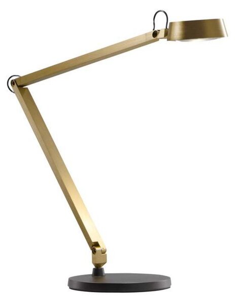 Asztali lámpa LIGHT-POINT, dimmable, Arany / Sárgaréz, Nappali, Alumínium