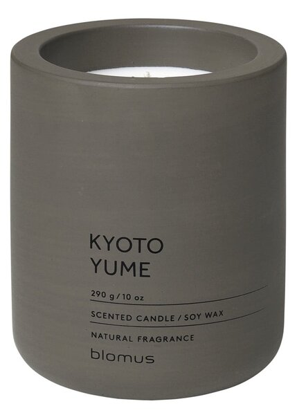 Illatos szójaviasz gyertya égési idő 55 ó Fraga: Kyoto Yume – Blomus